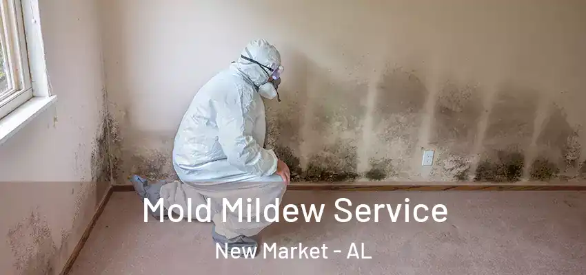 Mold Mildew Service New Market - AL