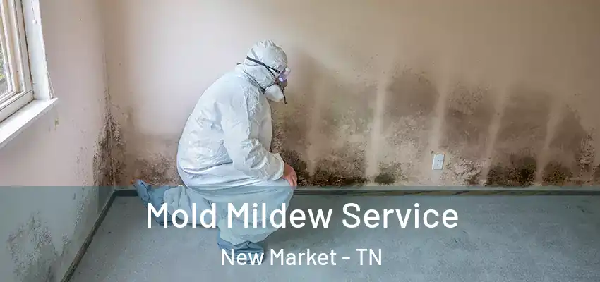  Mold Mildew Service New Market - TN