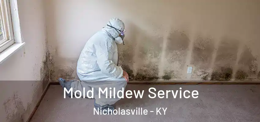 Mold Mildew Service Nicholasville - KY