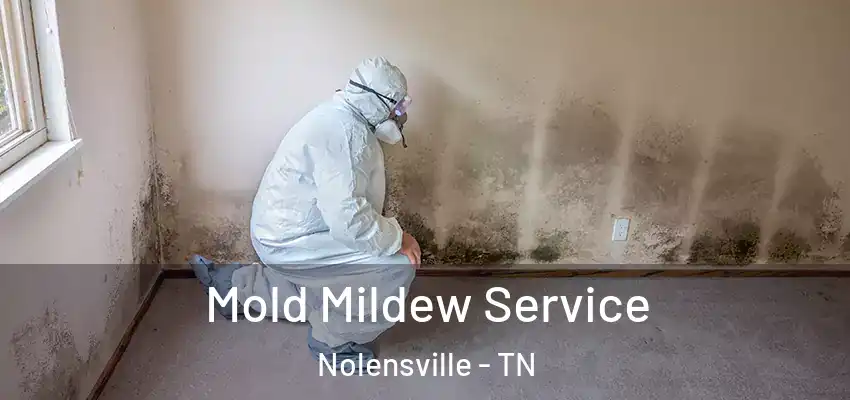  Mold Mildew Service Nolensville - TN