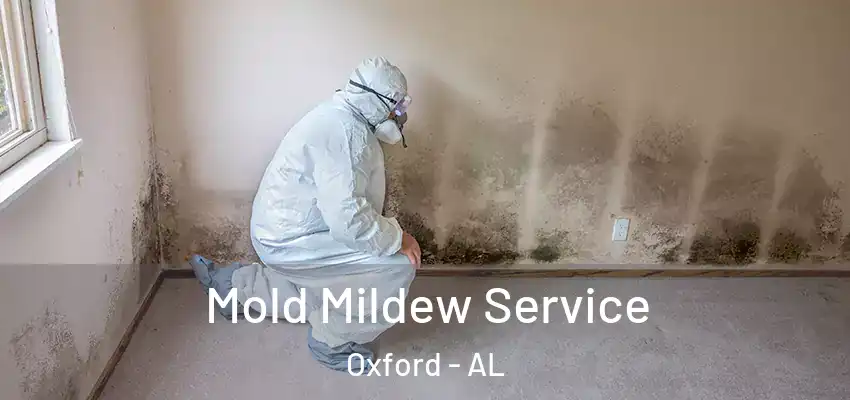 Mold Mildew Service Oxford - AL