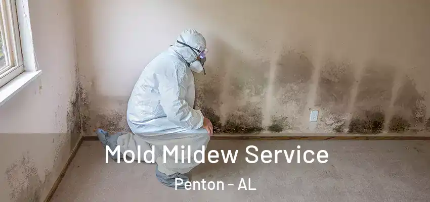  Mold Mildew Service Penton - AL