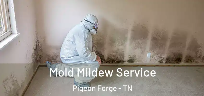 Mold Mildew Service Pigeon Forge - TN