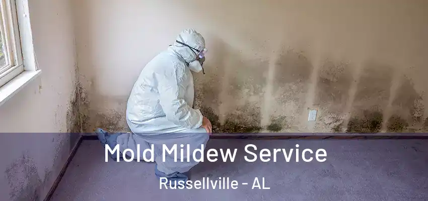  Mold Mildew Service Russellville - AL