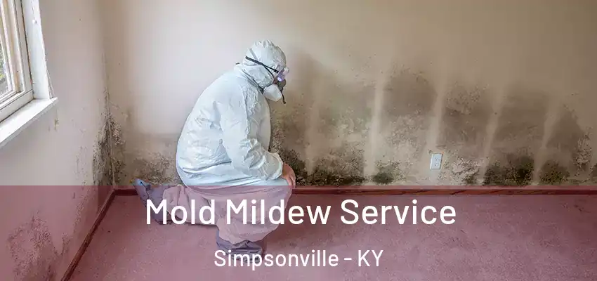  Mold Mildew Service Simpsonville - KY