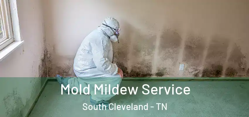Mold Mildew Service South Cleveland - TN