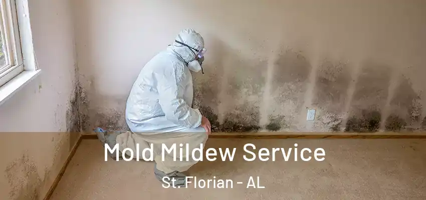 Mold Mildew Service St. Florian - AL