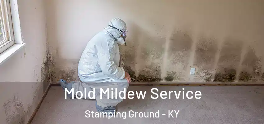  Mold Mildew Service Stamping Ground - KY