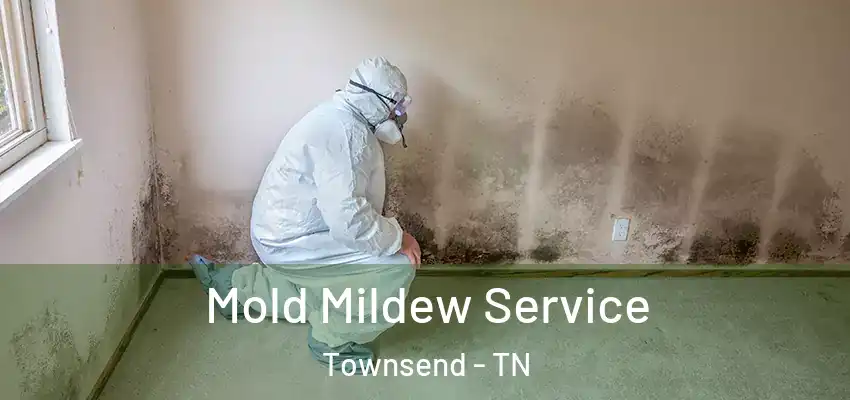 Mold Mildew Service Townsend - TN