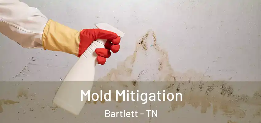  Mold Mitigation Bartlett - TN