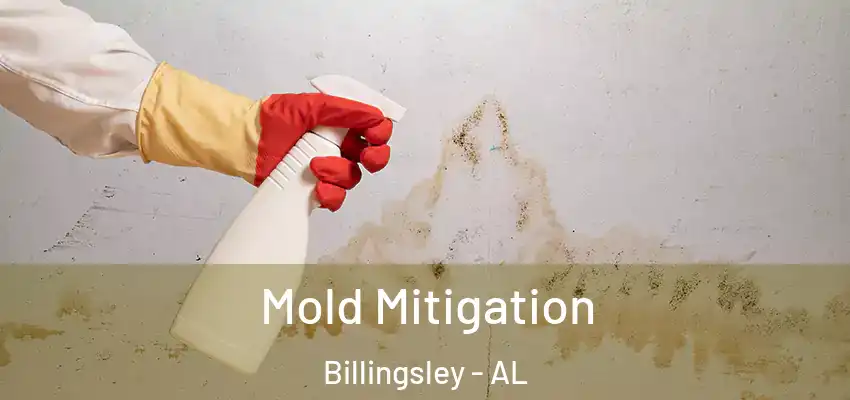 Mold Mitigation Billingsley - AL