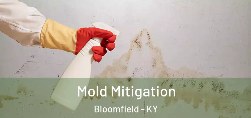  Mold Mitigation Bloomfield - KY