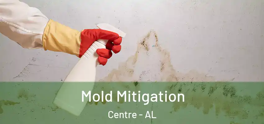  Mold Mitigation Centre - AL