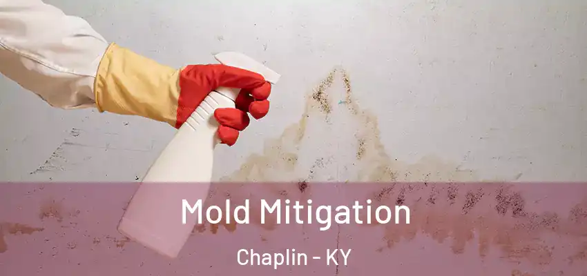  Mold Mitigation Chaplin - KY