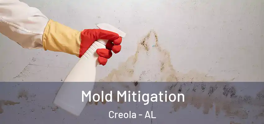  Mold Mitigation Creola - AL