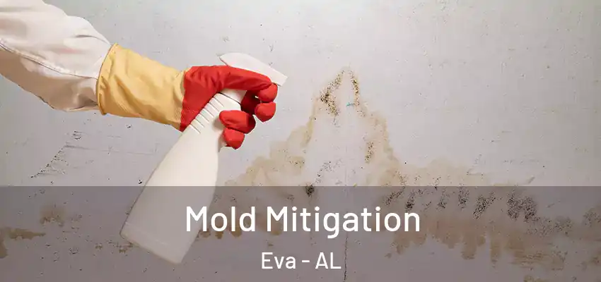  Mold Mitigation Eva - AL