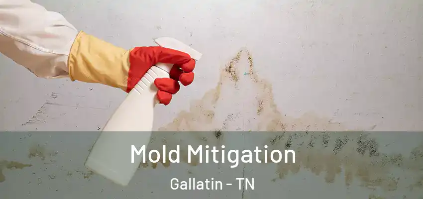  Mold Mitigation Gallatin - TN