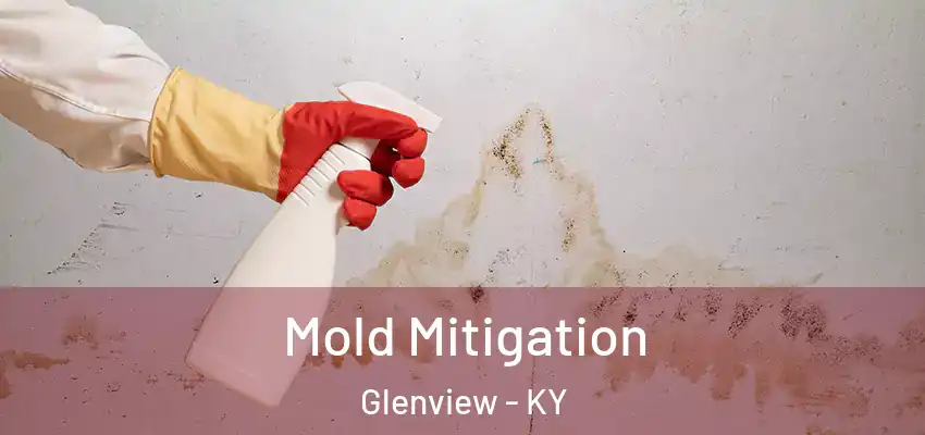  Mold Mitigation Glenview - KY
