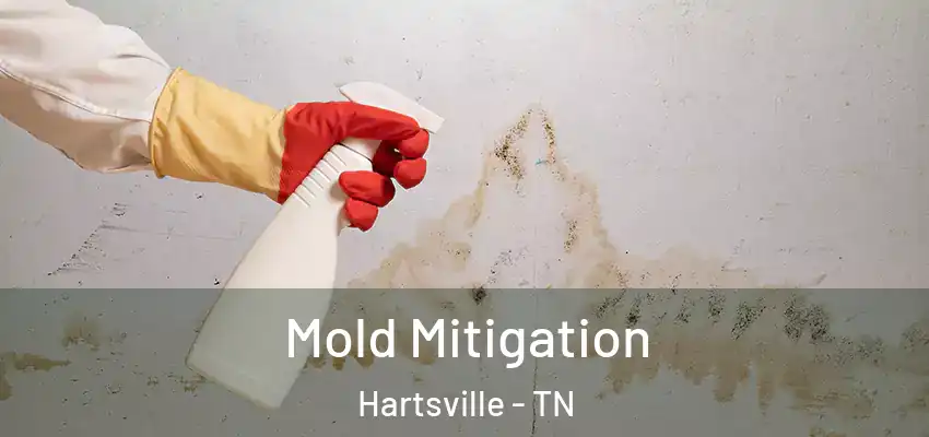  Mold Mitigation Hartsville - TN