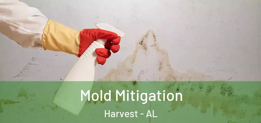 Mold Mitigation Harvest - AL