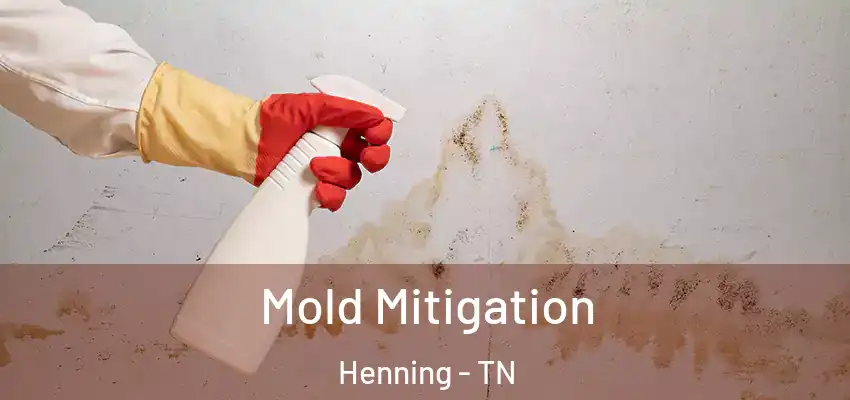  Mold Mitigation Henning - TN