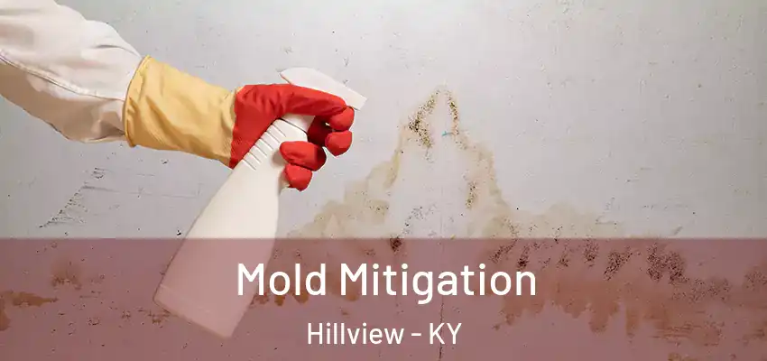  Mold Mitigation Hillview - KY