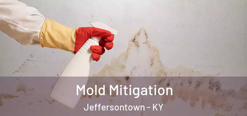  Mold Mitigation Jeffersontown - KY