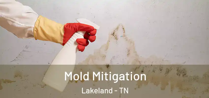  Mold Mitigation Lakeland - TN