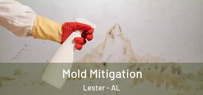  Mold Mitigation Lester - AL