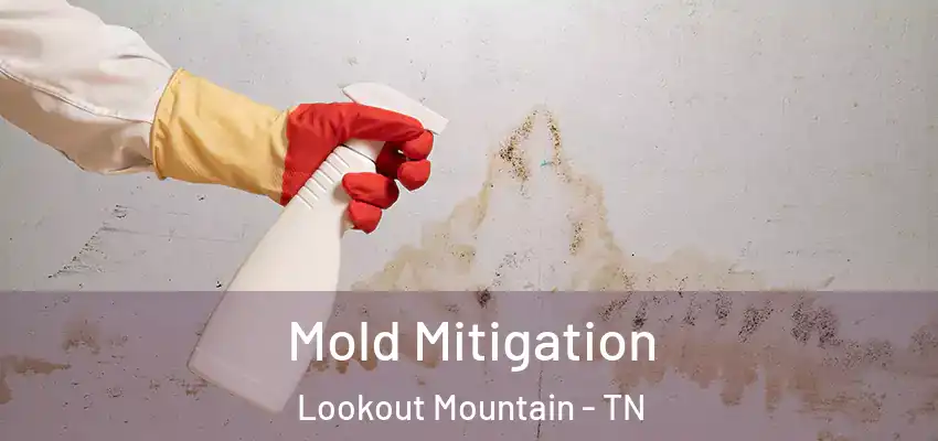  Mold Mitigation Lookout Mountain - TN