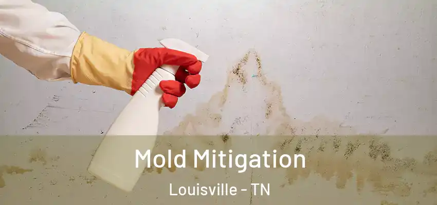Mold Mitigation Louisville - TN