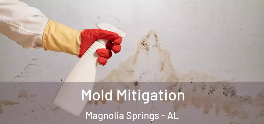  Mold Mitigation Magnolia Springs - AL