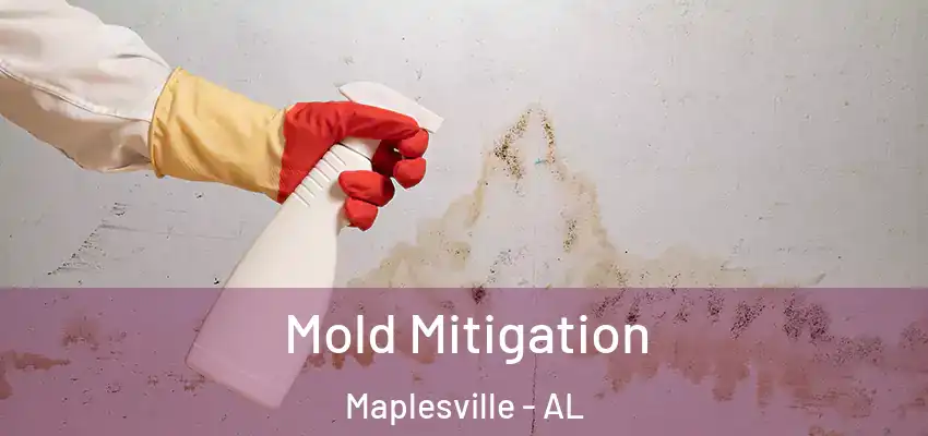  Mold Mitigation Maplesville - AL