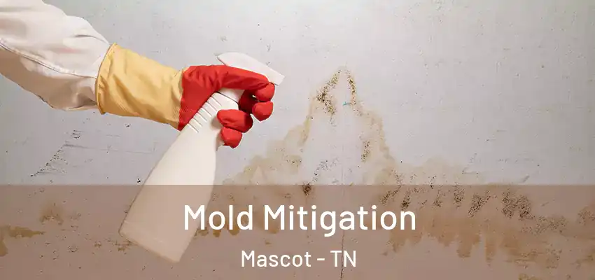  Mold Mitigation Mascot - TN