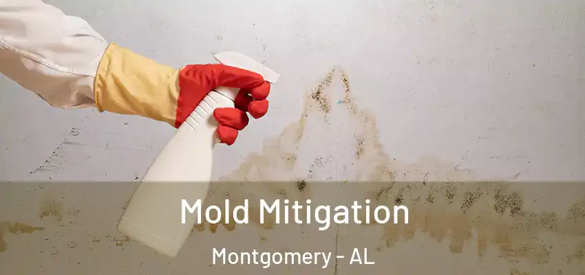  Mold Mitigation Montgomery - AL