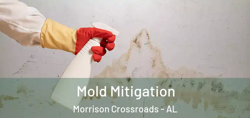  Mold Mitigation Morrison Crossroads - AL