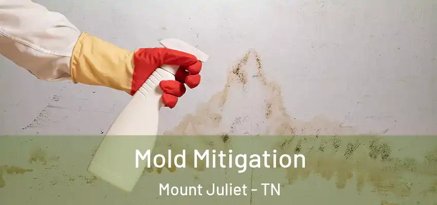  Mold Mitigation Mount Juliet - TN