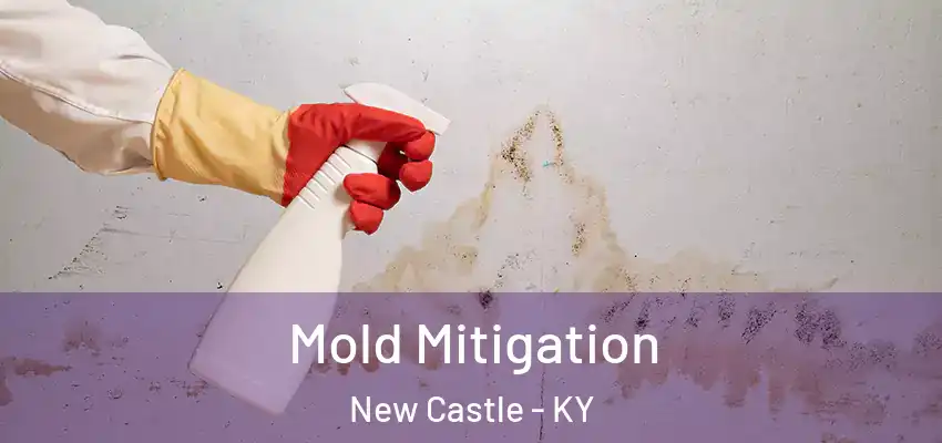 Mold Mitigation New Castle - KY