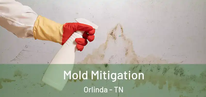  Mold Mitigation Orlinda - TN