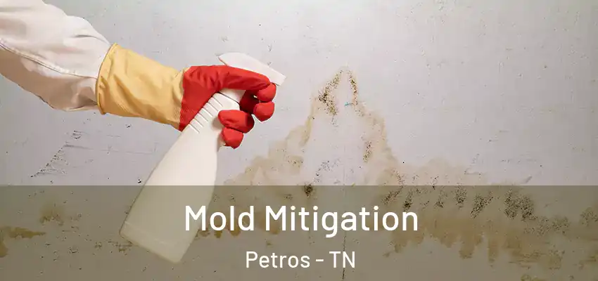  Mold Mitigation Petros - TN