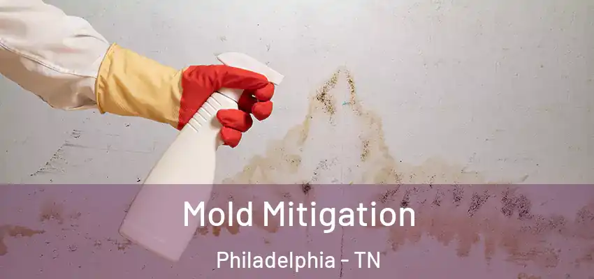  Mold Mitigation Philadelphia - TN