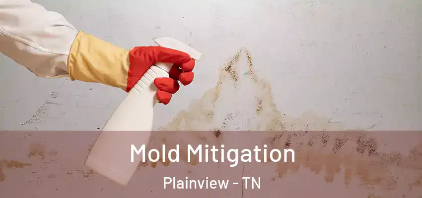  Mold Mitigation Plainview - TN