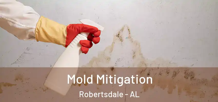 Mold Mitigation Robertsdale - AL