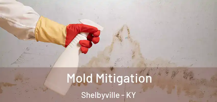  Mold Mitigation Shelbyville - KY