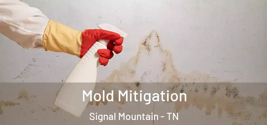  Mold Mitigation Signal Mountain - TN