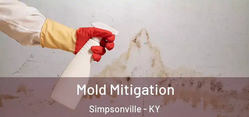  Mold Mitigation Simpsonville - KY