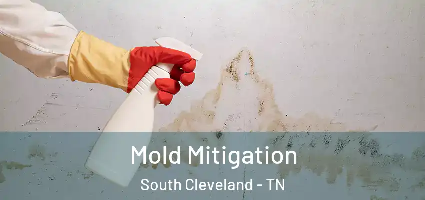  Mold Mitigation South Cleveland - TN
