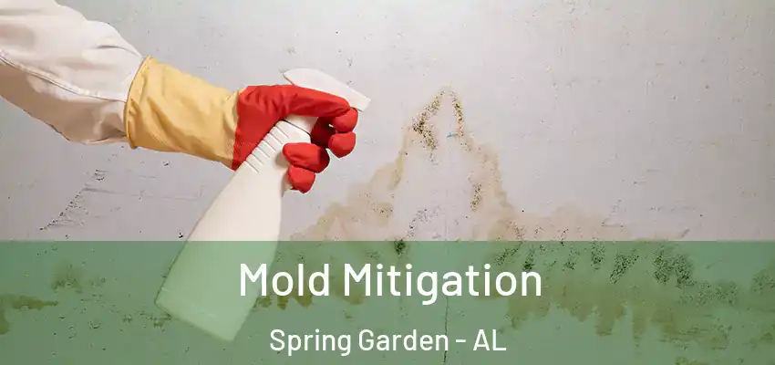  Mold Mitigation Spring Garden - AL