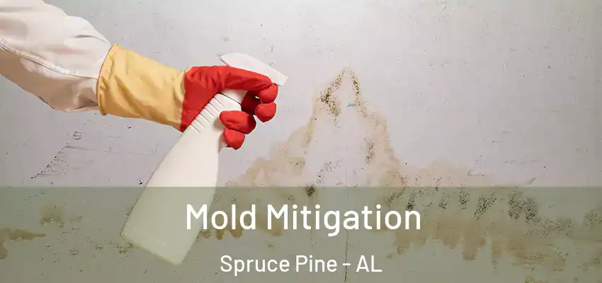  Mold Mitigation Spruce Pine - AL