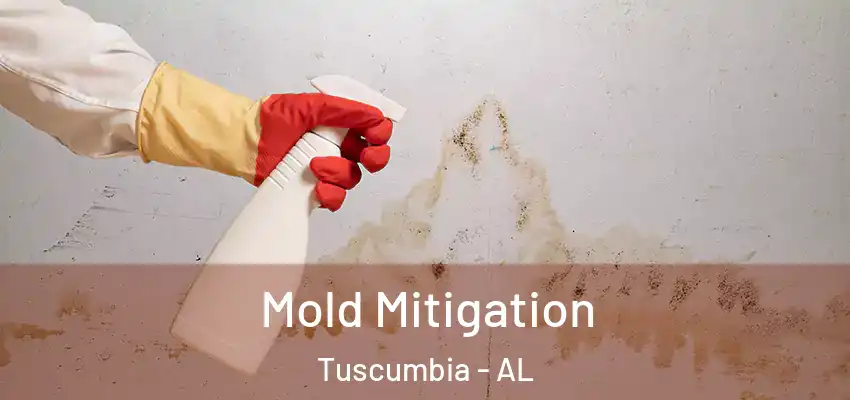  Mold Mitigation Tuscumbia - AL